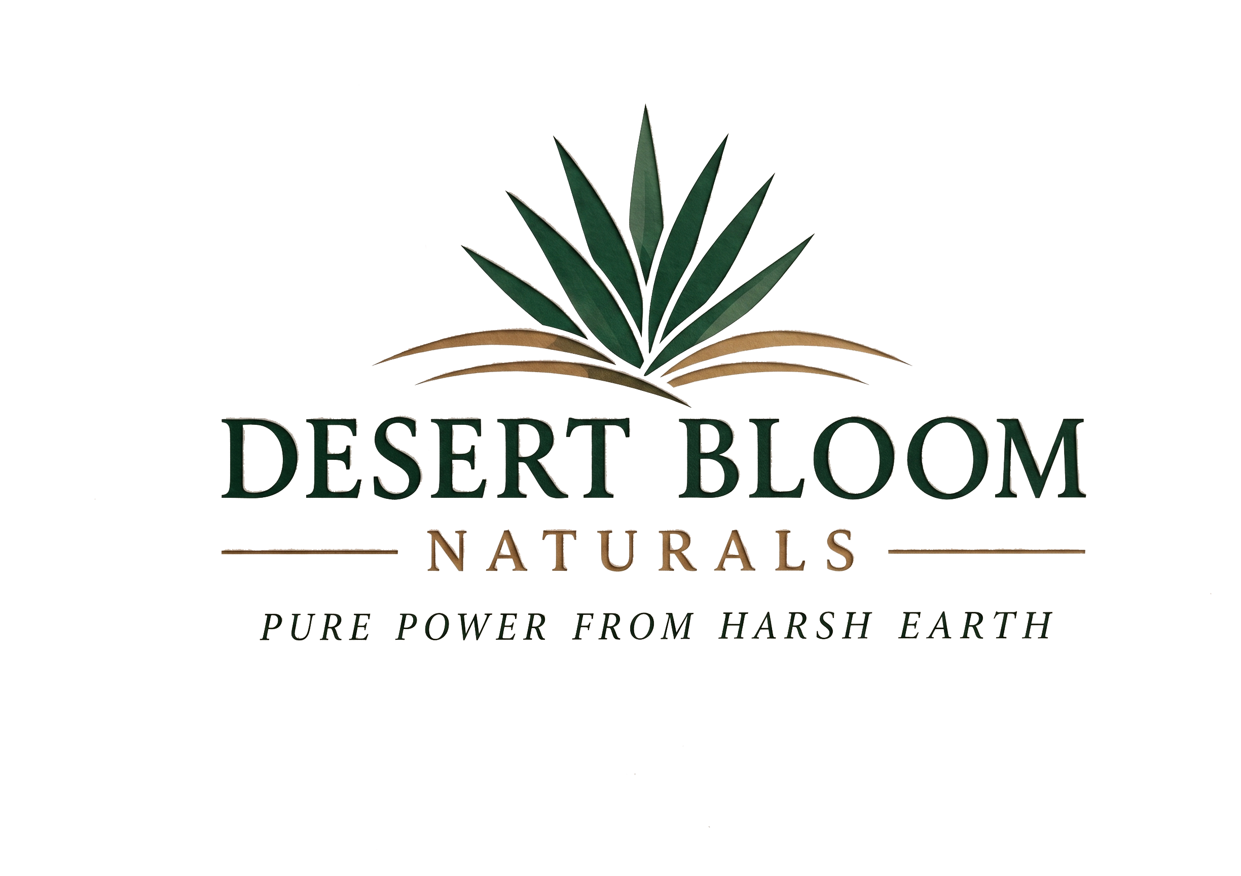 Desert Bloom